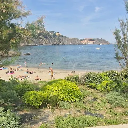 Au Calme A Deux Pas De La 콜리우르